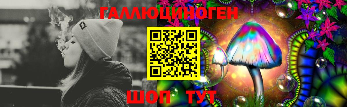 Галлюциногенные грибы мухоморы  Псилоцибиновые грибы GOLDEN TEACHER  Свободный  Вход с VPN 